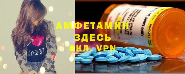 молекула духа Алзамай