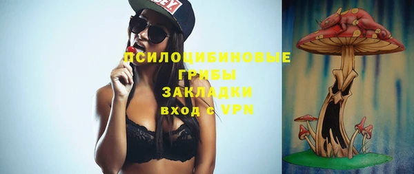 молекула духа Алзамай